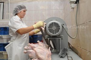 Куриное мясо опять подорожало в Нижегородской области
