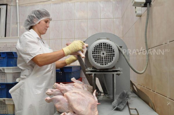 Куриное мясо опять подорожало в Нижегородской области