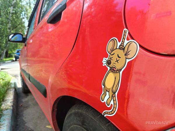 Социологи выяснили, почему нижегородцы стали меньше тревожиться этим&nbsp;летом