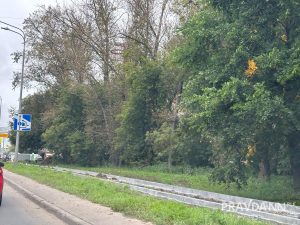 Тротуары начали обустраивать вдоль Казанского шоссе