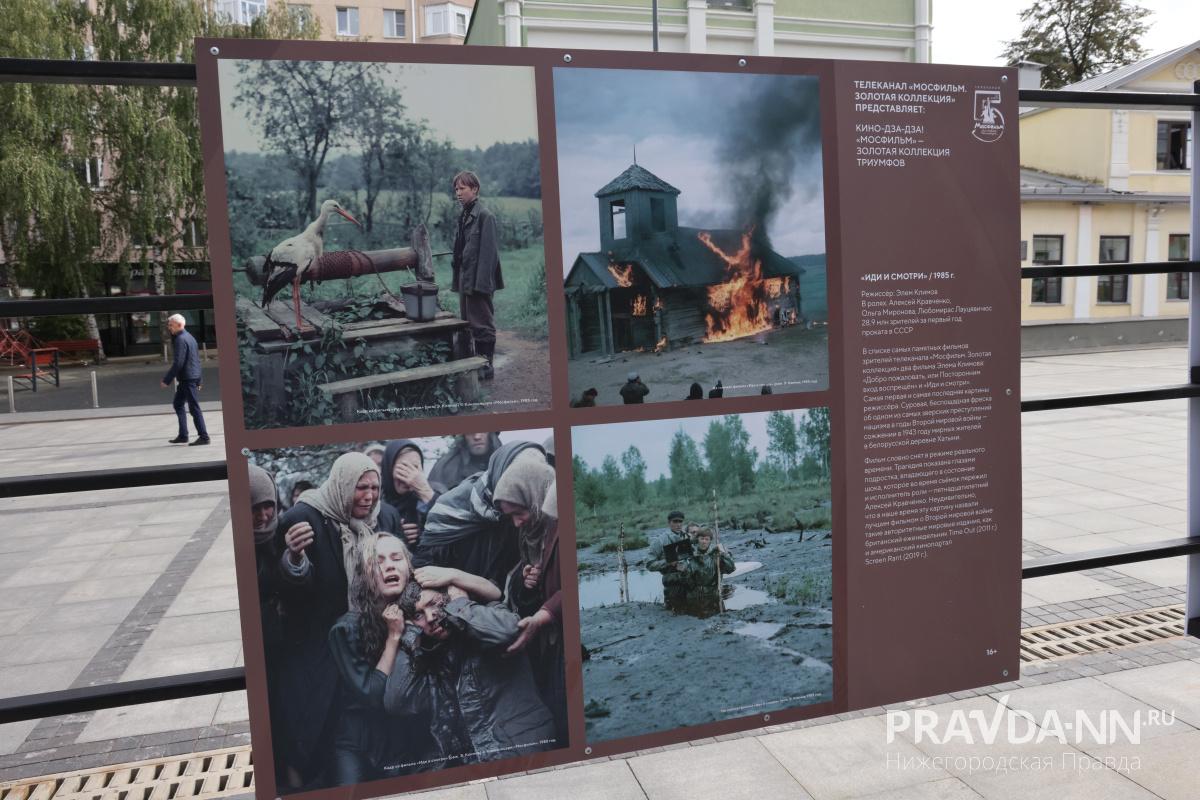 Александр Воложанин
