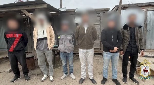 Семерых мигрантов незаконно трудоустроили на стройку таунхаусов в Ждановском