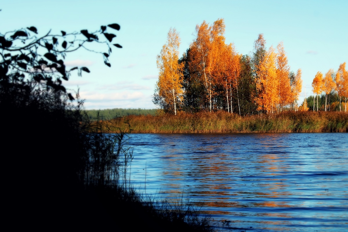 Осень в городах Приволжья – время, когда привычки меняются