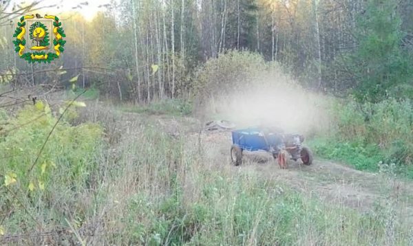 Незаконный сброс мусора в лесу сняла фотоловушка в Пижемском лесничестве