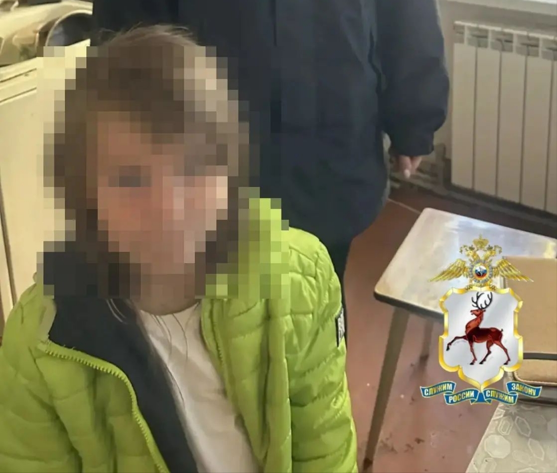 В Нижнем Новгороде оштрафовали мать потерявшейся 6‑летней девочки