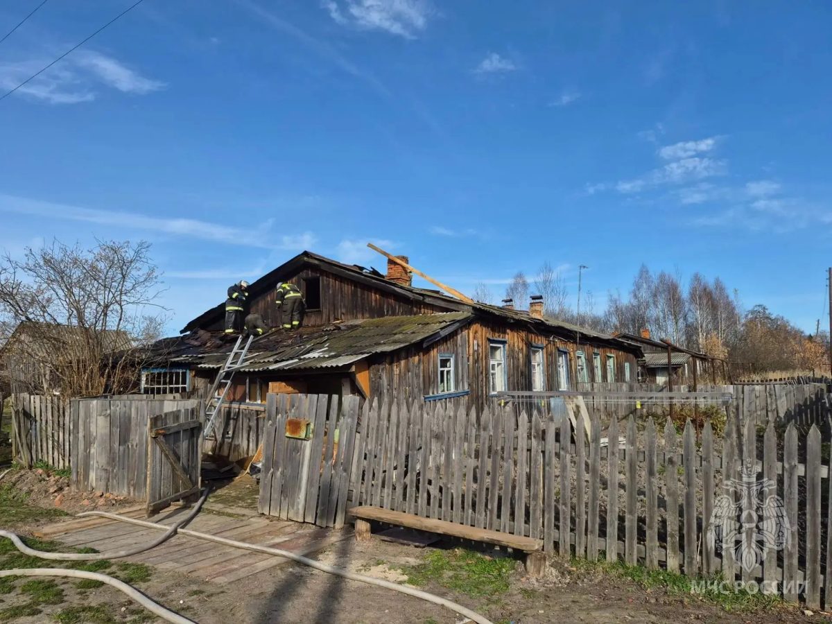 Чайник привел к пожару в деревянном доме в Лукояновском округе