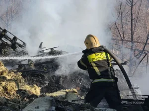 ГУ МВД России по Нижегородской области