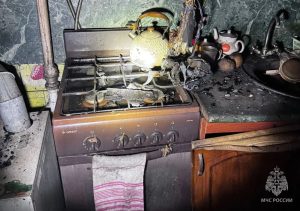 В Нижегородской области пенсионерка погибла из-за неисправного холодильника