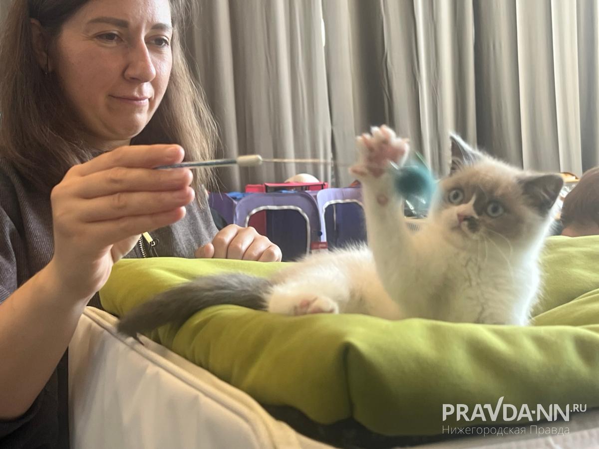 Алина Малинина