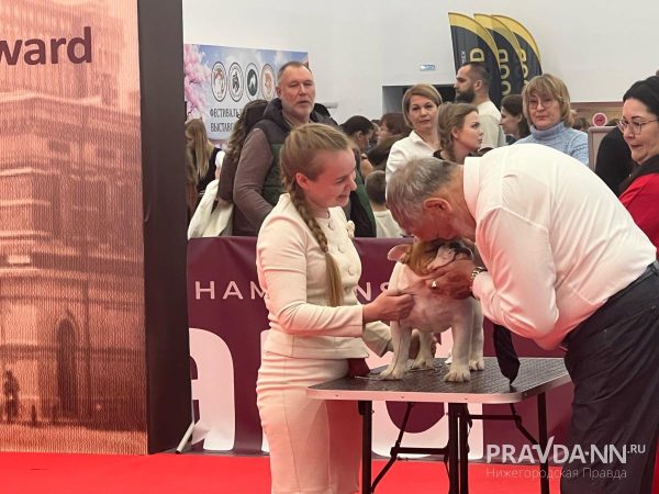 За нами хвост: на Нижегородской ярмарке проходит выставка домашних животных&nbsp;