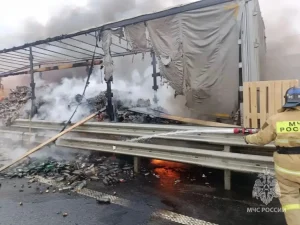 На трассе М‑12 в Башкирии сгорела фура с алкоголем